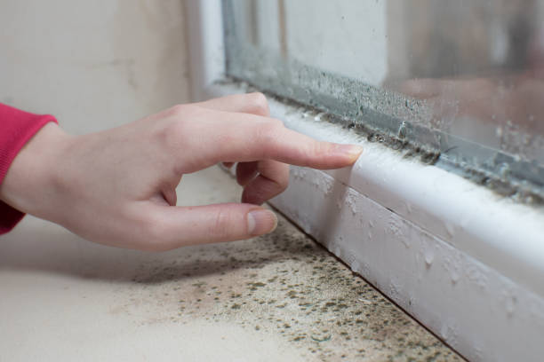  Richboro, PA Mold Removal Pros